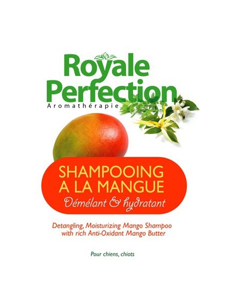 Shampooing au Beurre de Mangue Démêlant & Hydratant