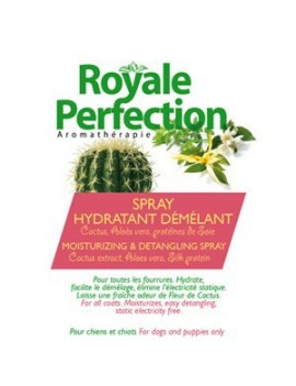Spray Hydratant & Démêlant Cactus Aloès Vera