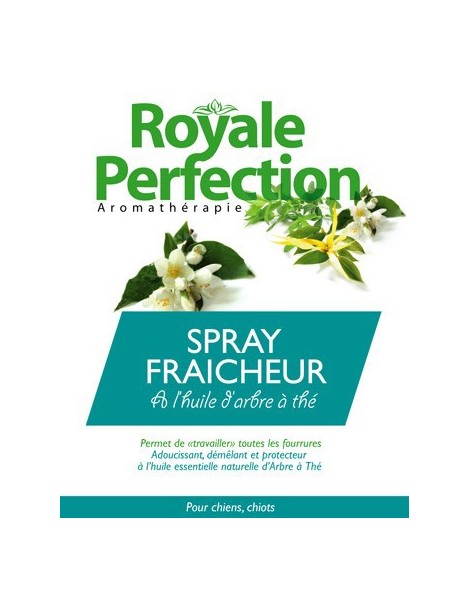 PACK INSECTIFUGE aux huiles essentielles