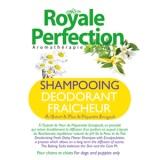 shampoing pâquerettes